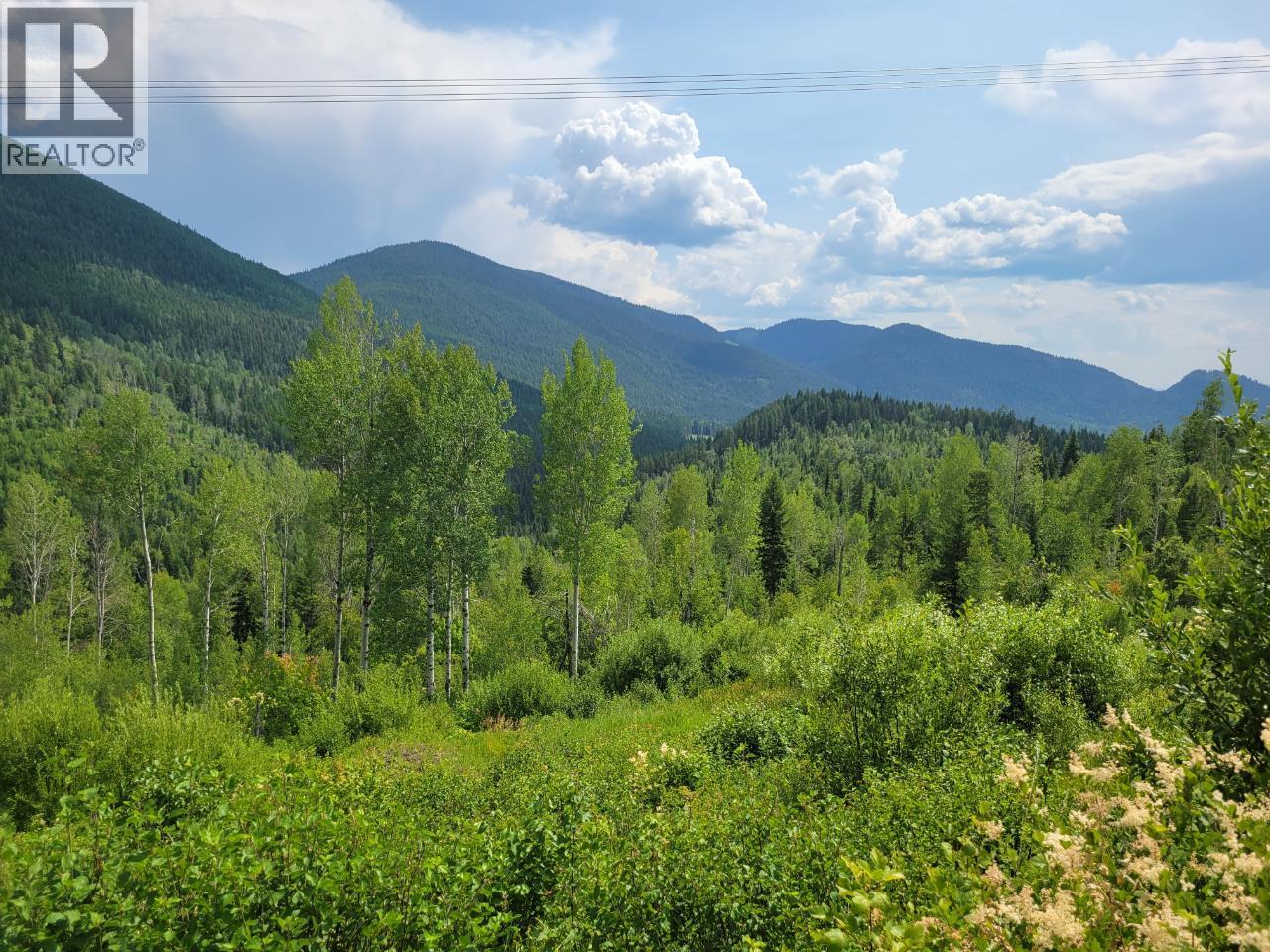 549 ROSEBUD LAKE Road, Salmo