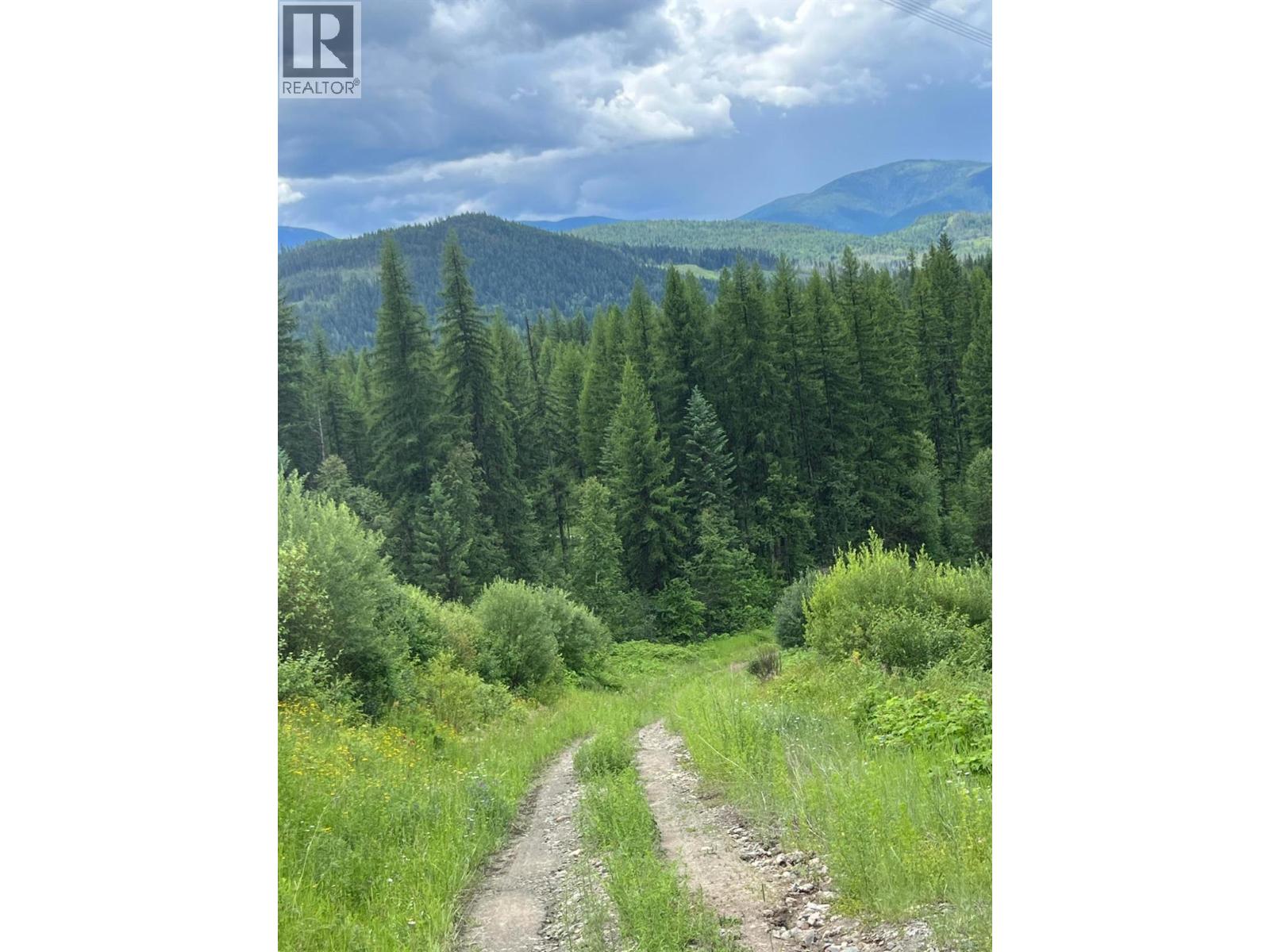 549 ROSEBUD LAKE Road, Salmo