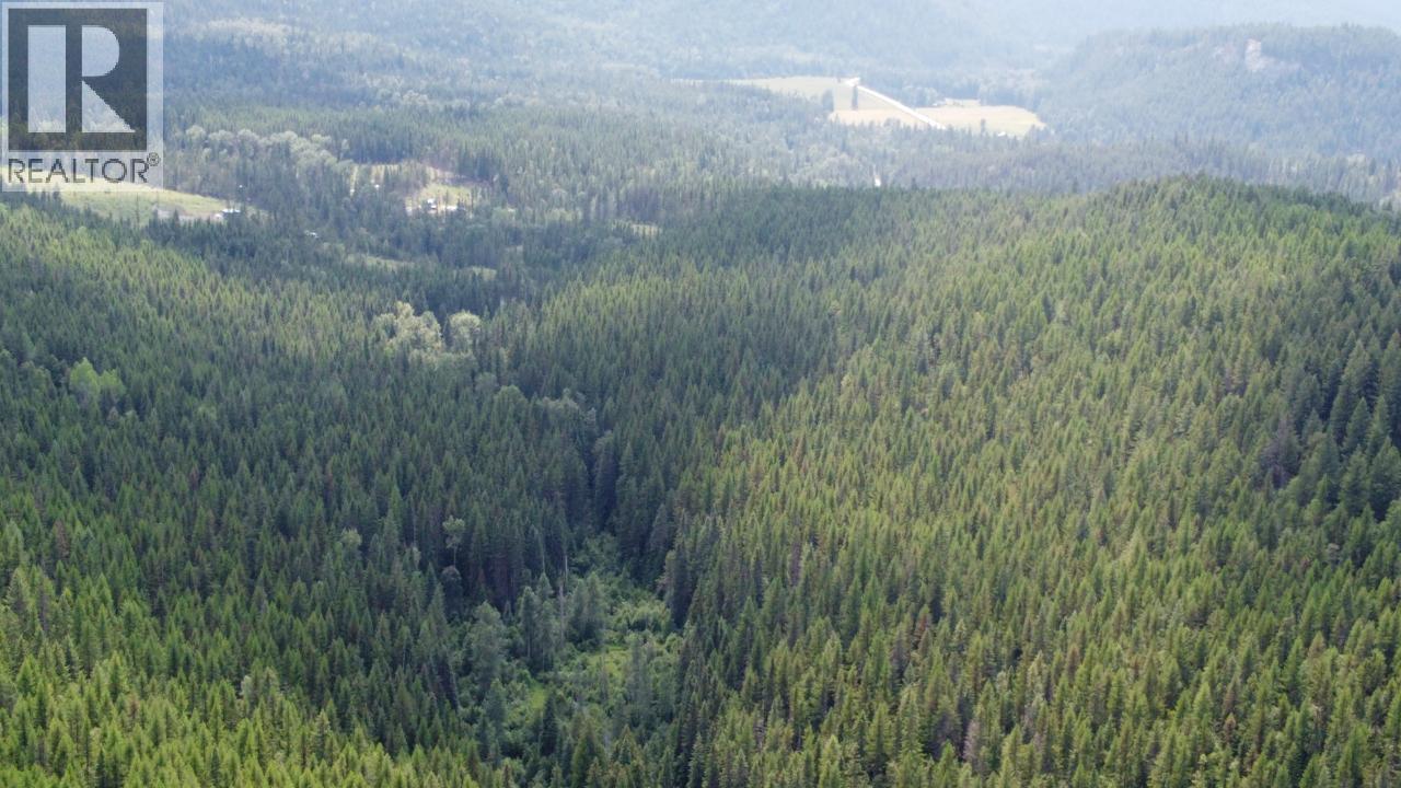 549 ROSEBUD LAKE Road, Salmo