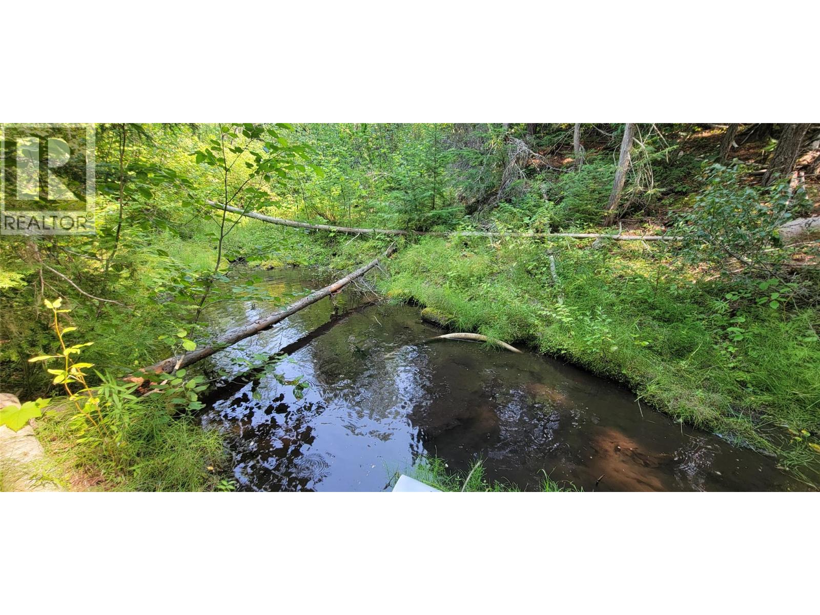 549 ROSEBUD LAKE Road, Salmo