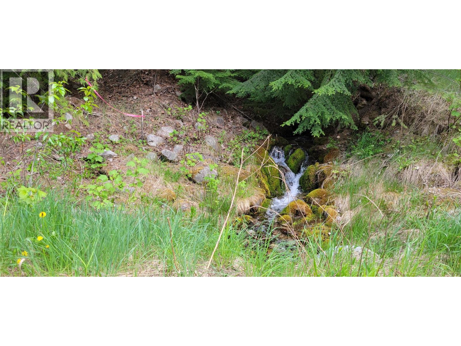 549 ROSEBUD LAKE Road, Salmo