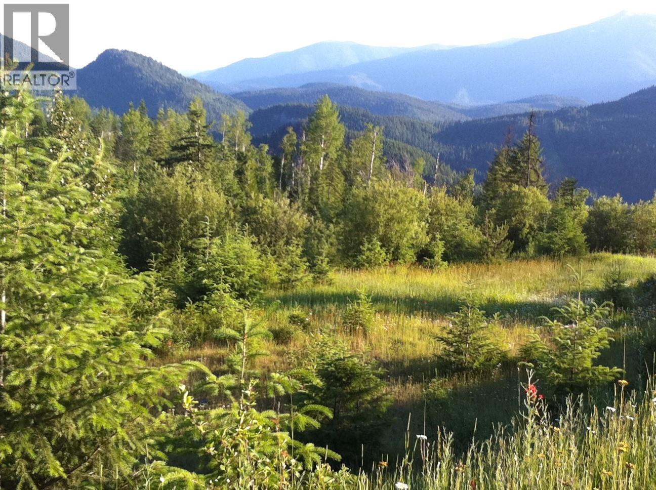 549 ROSEBUD LAKE Road, Salmo