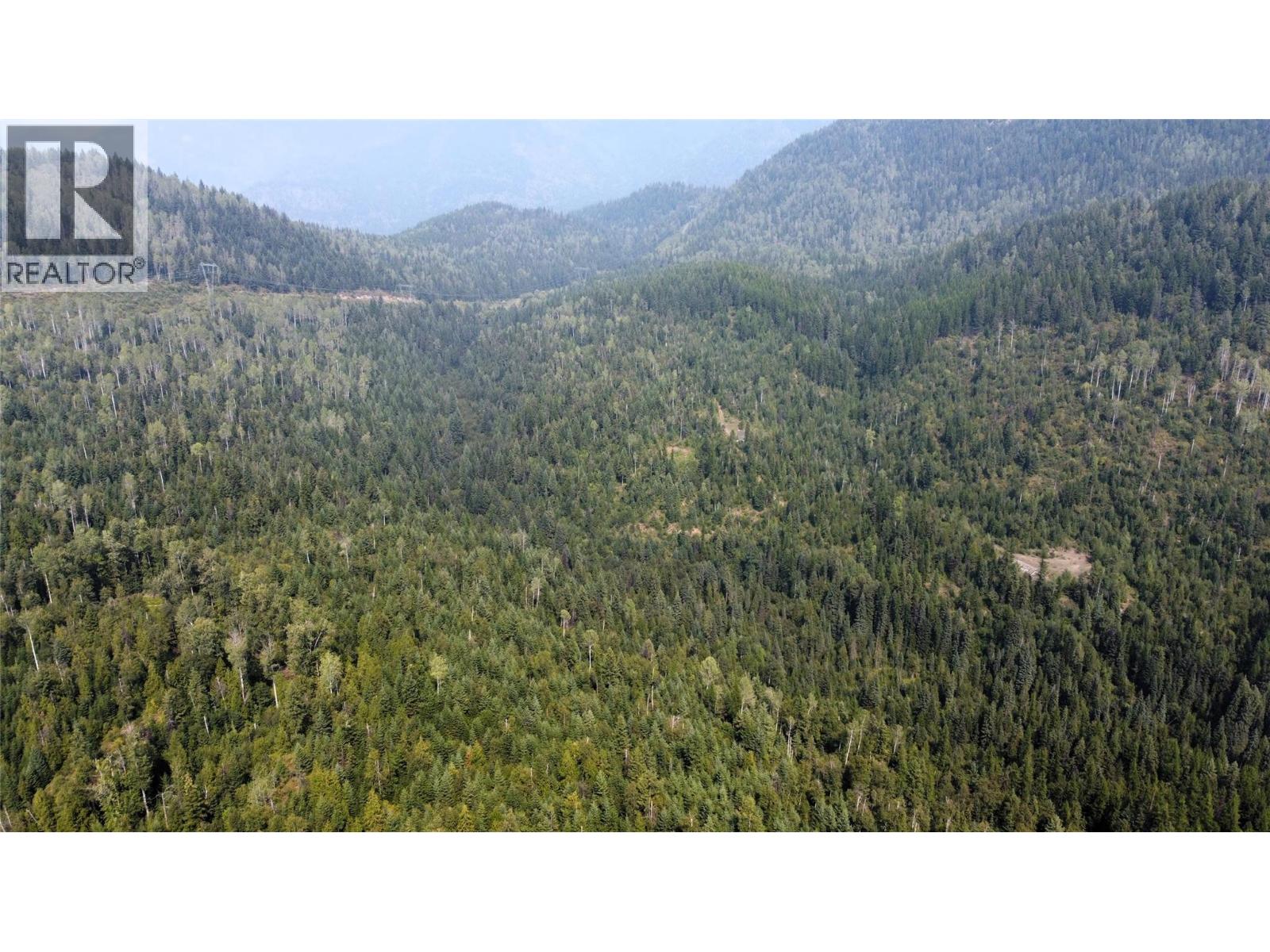 549 ROSEBUD LAKE Road, Salmo