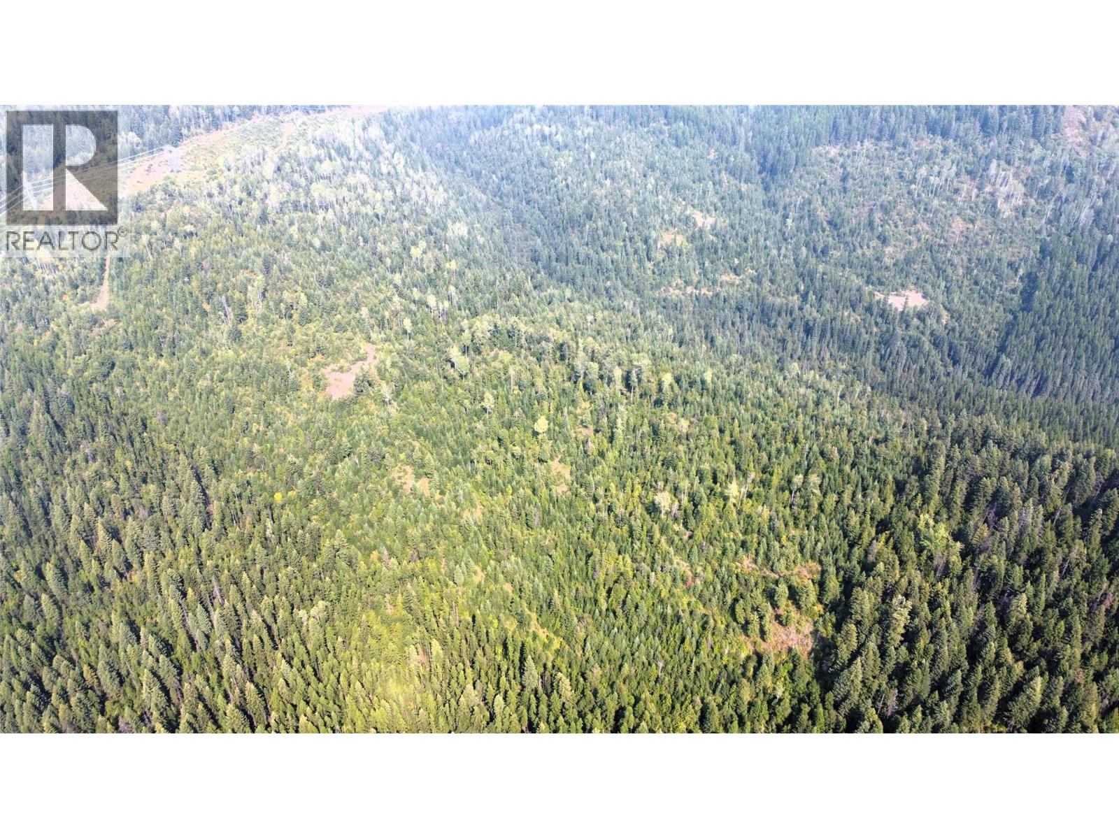 549 ROSEBUD LAKE Road, Salmo