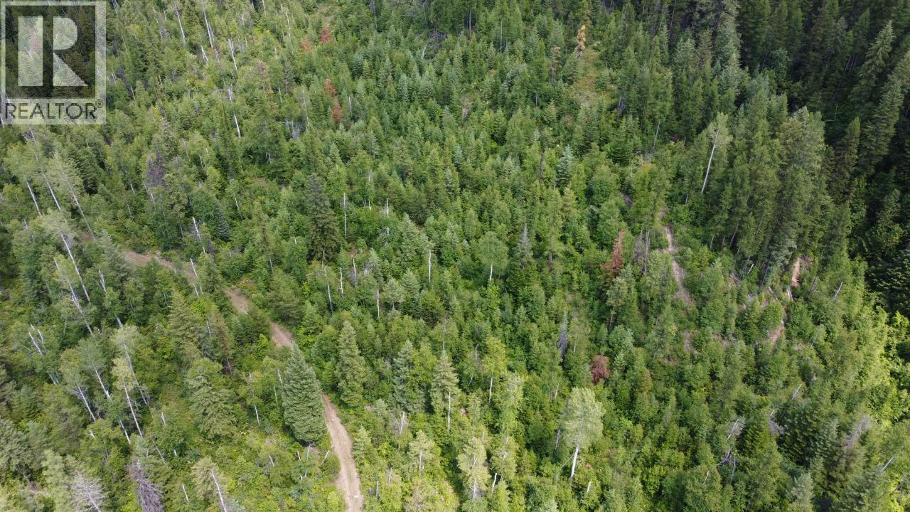 549 ROSEBUD LAKE Road, Salmo