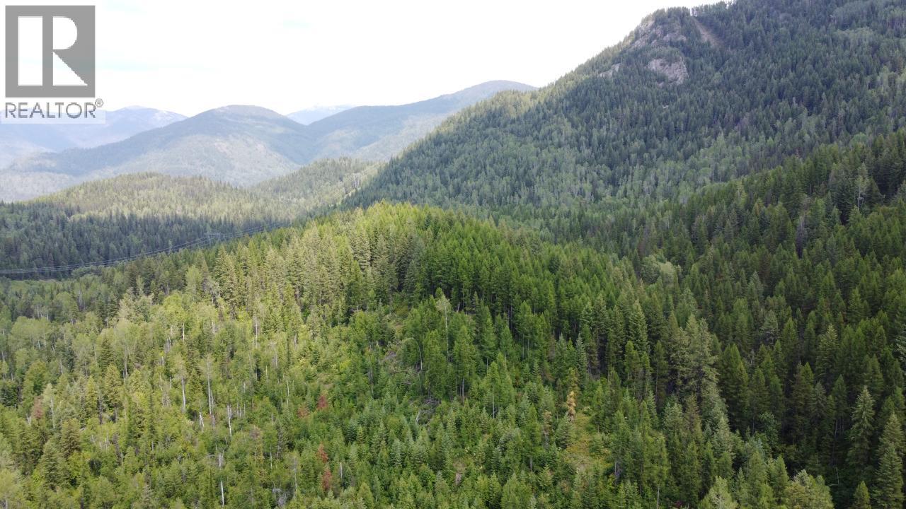 549 ROSEBUD LAKE Road, Salmo