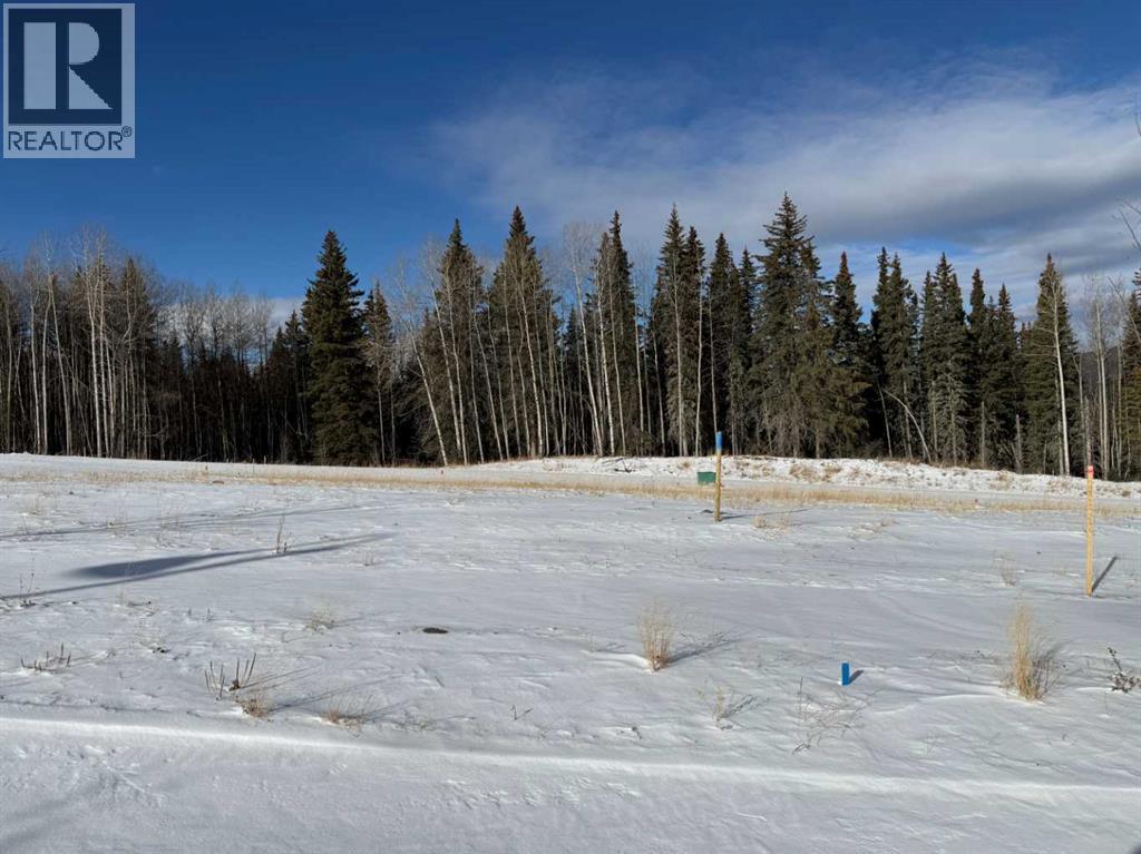 460 LILY Avenue - Main photo, Nordegg, Alberta