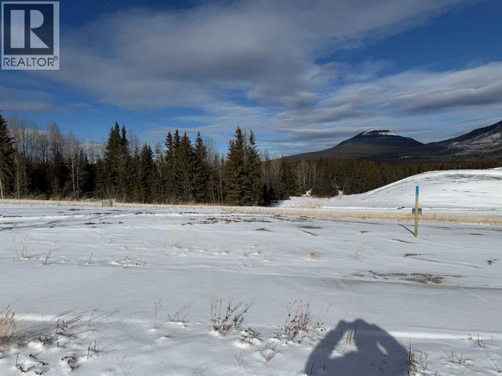 428 LILY Avenue - Main photo, Nordegg, Alberta