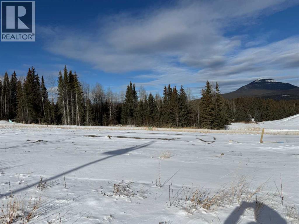 432 LILY Avenue - Main photo, Nordegg, Alberta