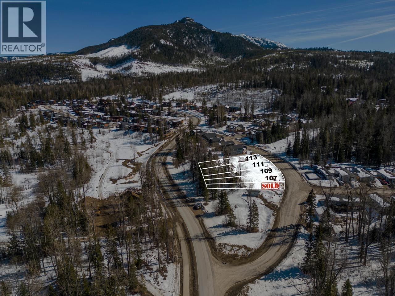 107 WHITETAIL Drive, Fernie