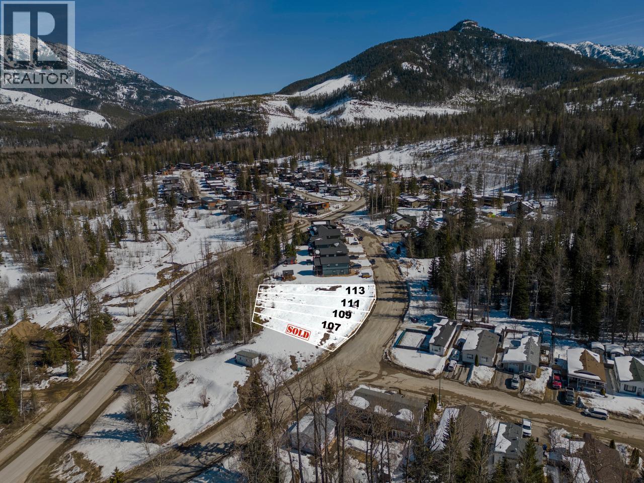 107 WHITETAIL Drive, Fernie