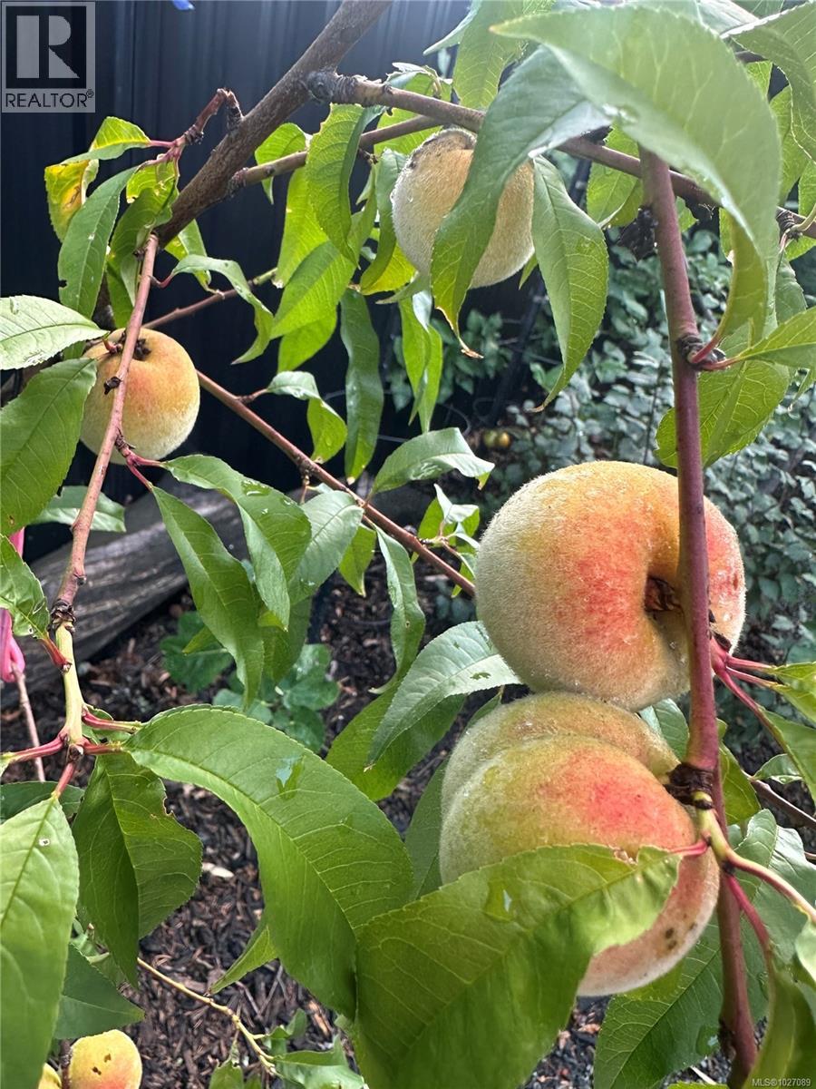 1966 Camas Rd, Nanaimo