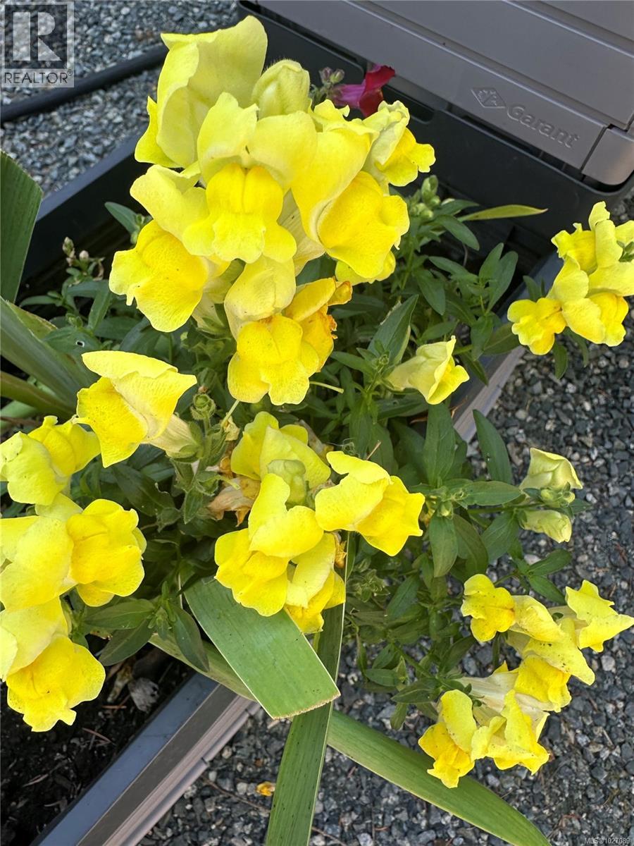 1966 Camas Rd, Nanaimo