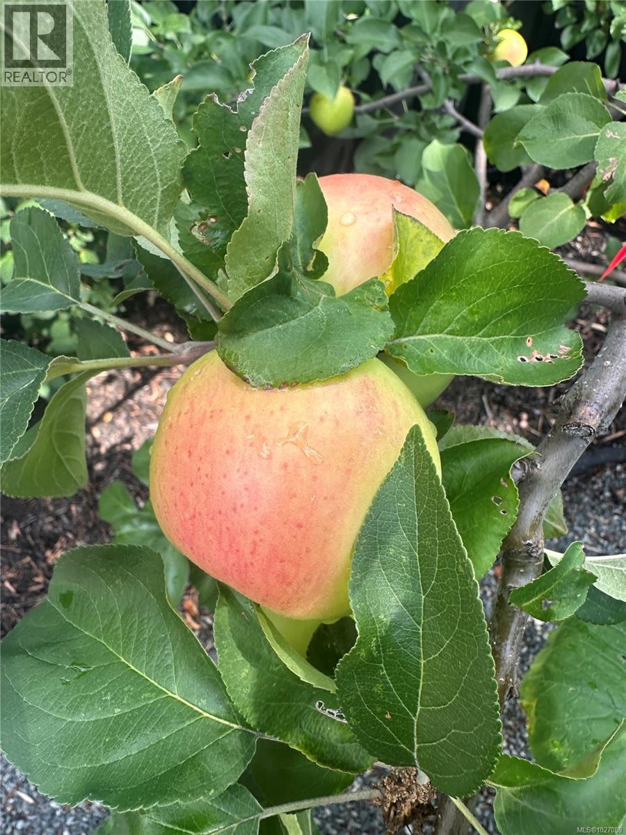 1966 Camas Rd, Nanaimo