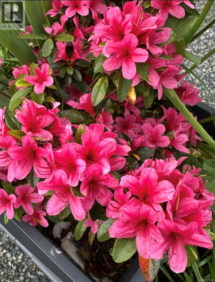 1966 Camas Rd, Nanaimo