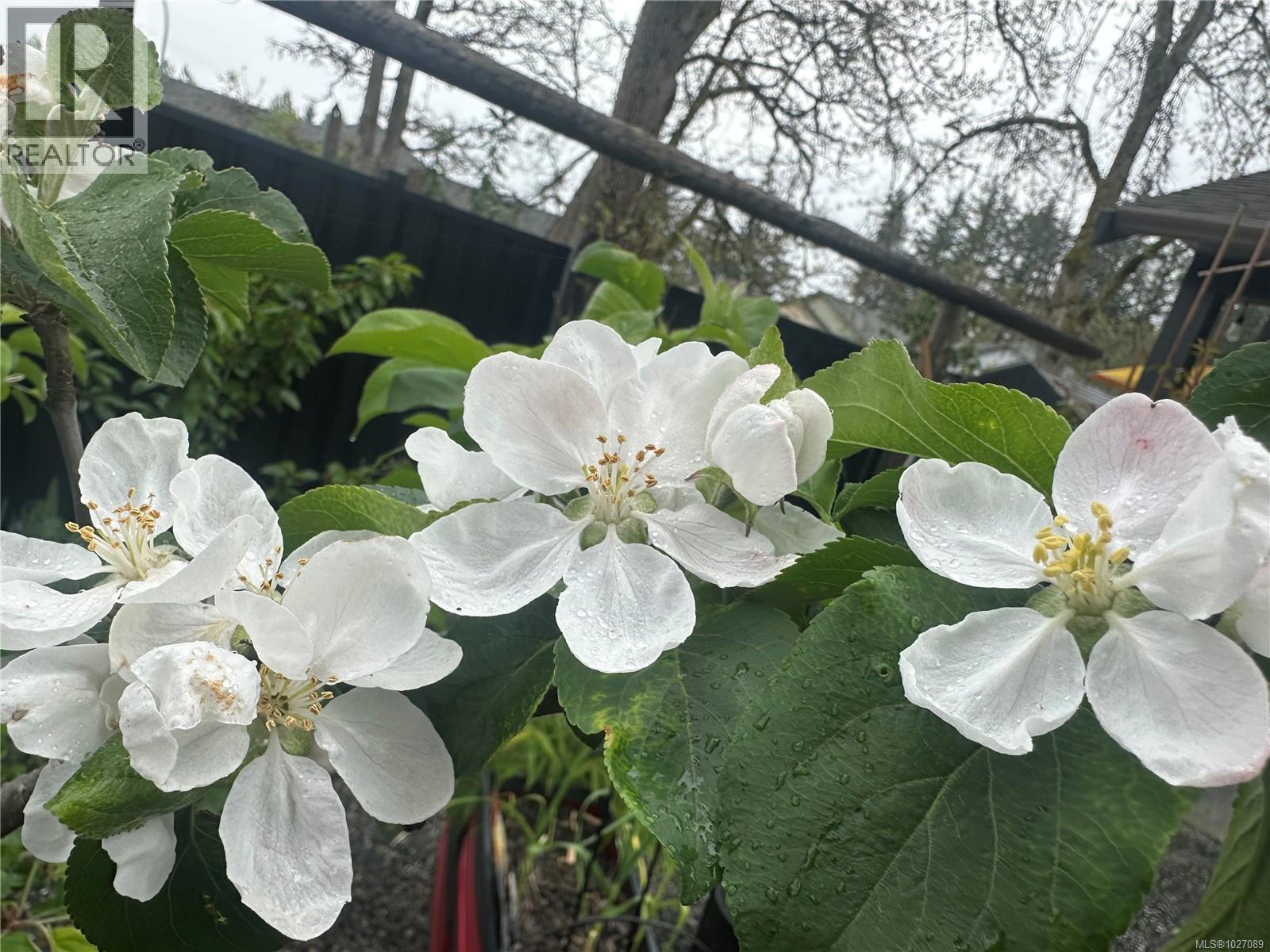 1966 Camas Rd, Nanaimo