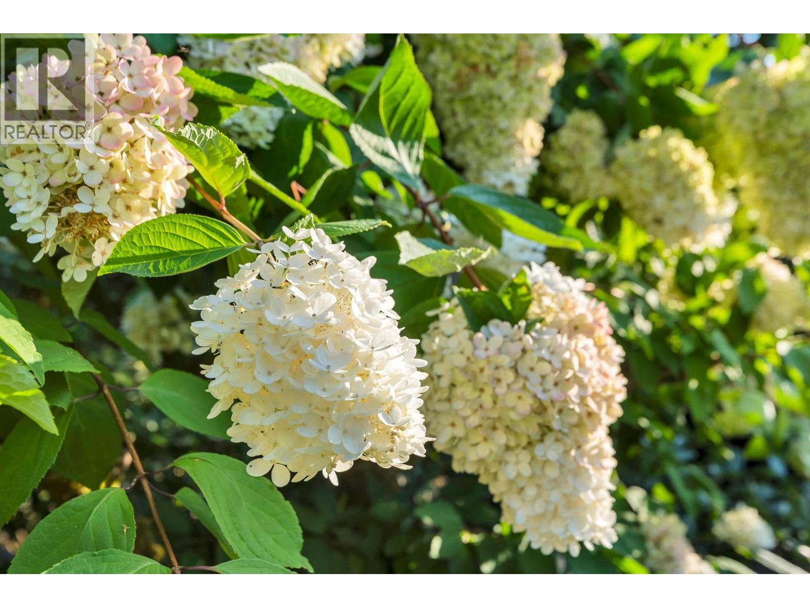 208 235 KEITH ROAD, West Vancouver