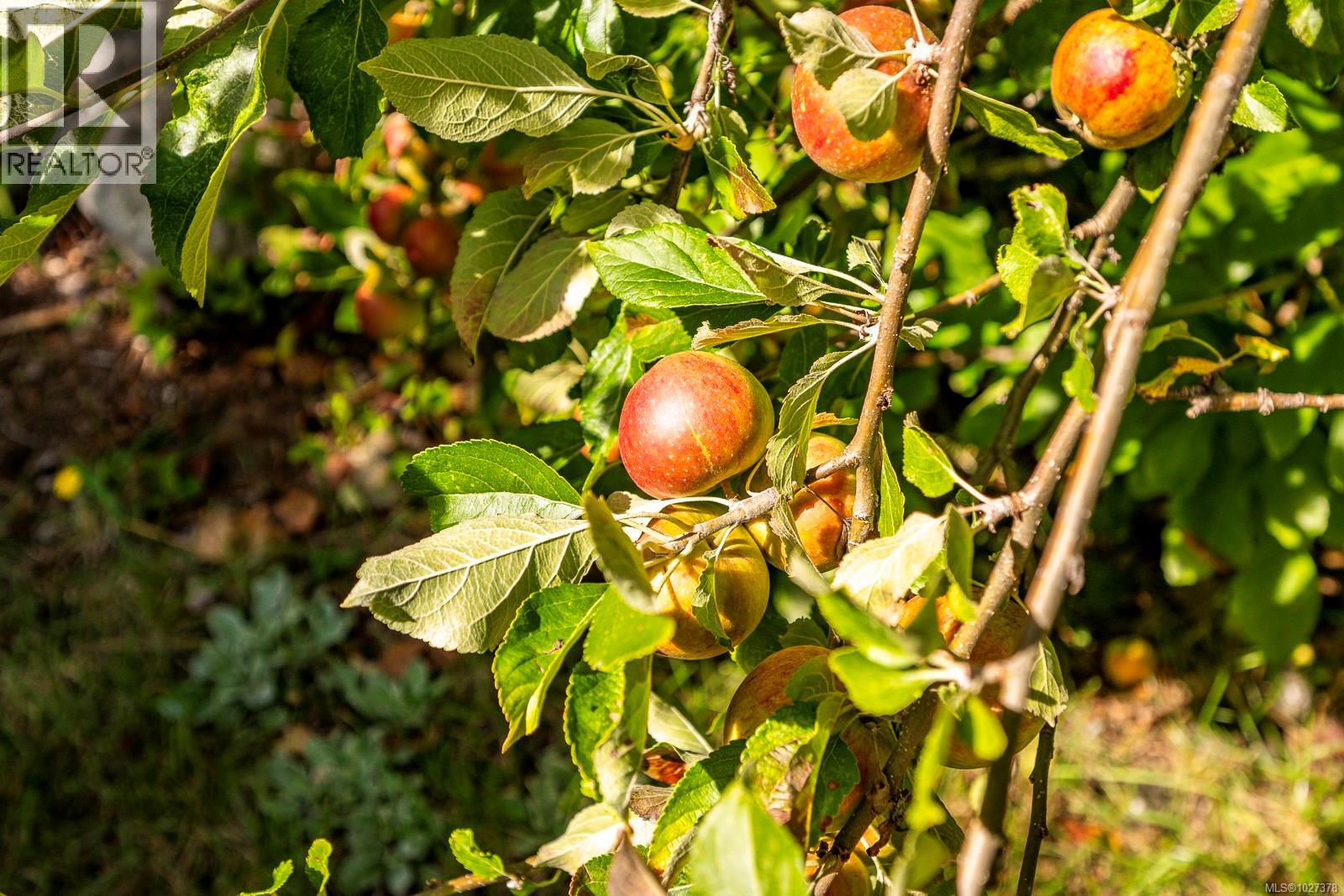 6300 ANDERSON DR - 42