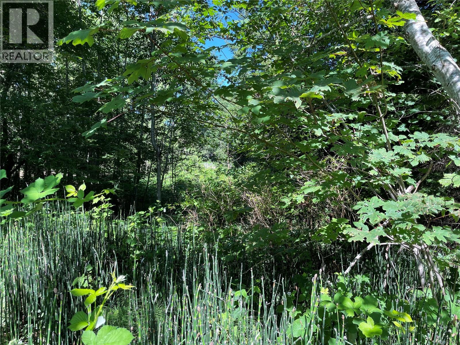 Lot A 375 Horne Lake Rd, Qualicum Beach