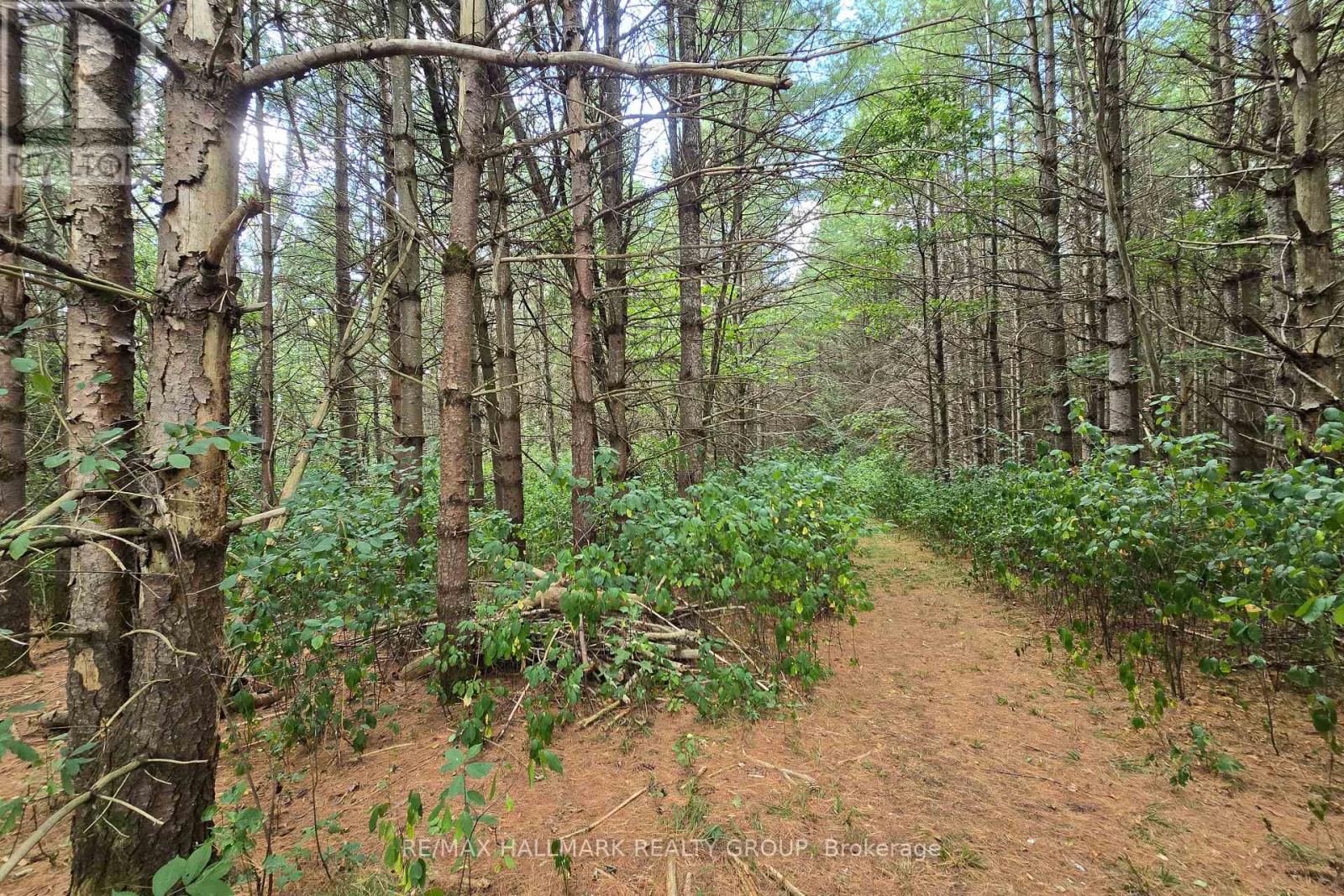 00 UPPER DWYER HILL ROAD — photo 34