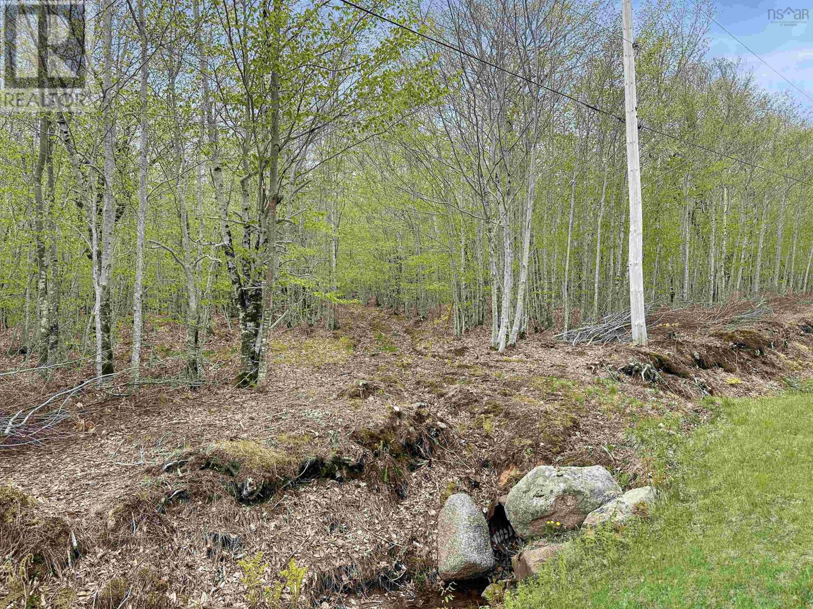 Vacant Land for Sale in C HILLCREST Drive Dalhousie 