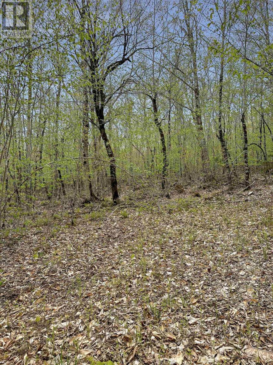 Vacant Land for Sale in C HILLCREST Drive Dalhousie 