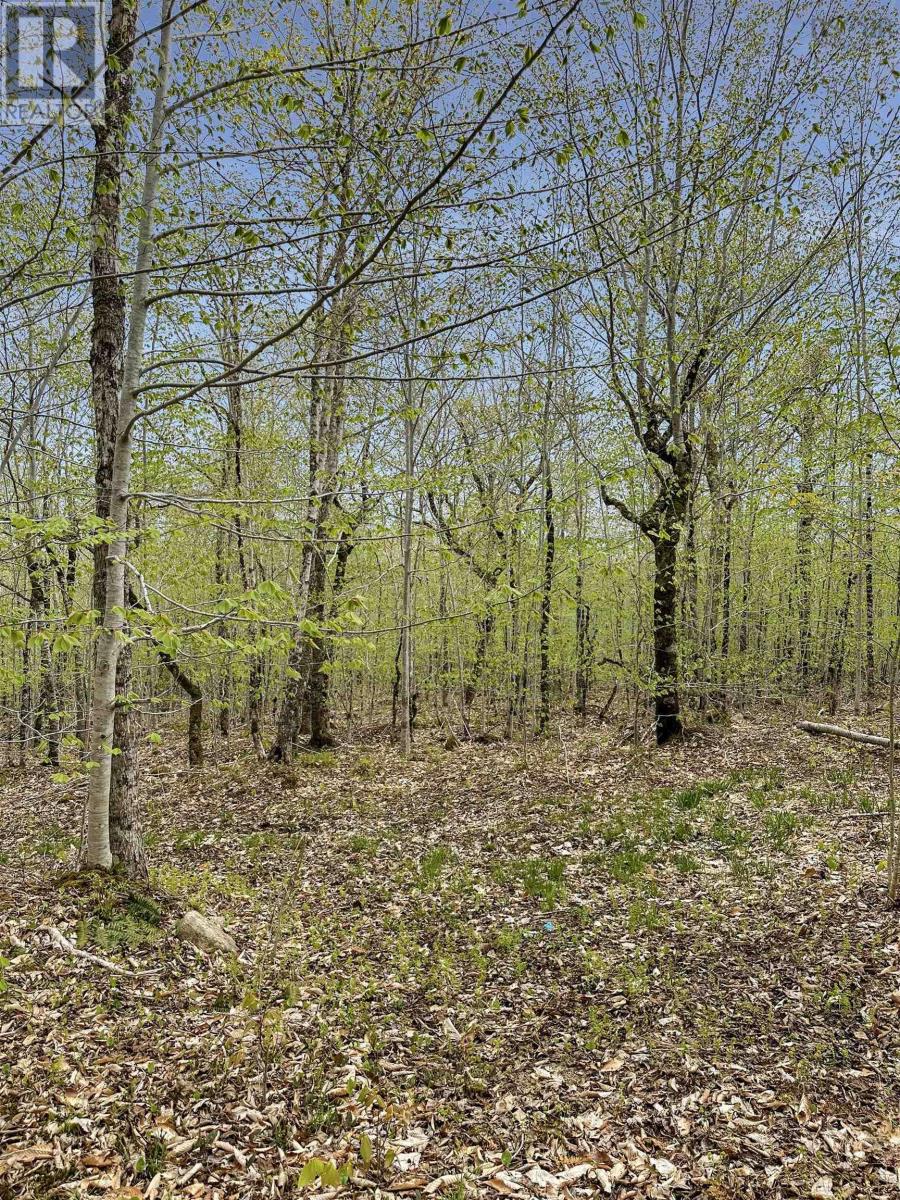 Vacant Land for Sale in C HILLCREST Drive Dalhousie 