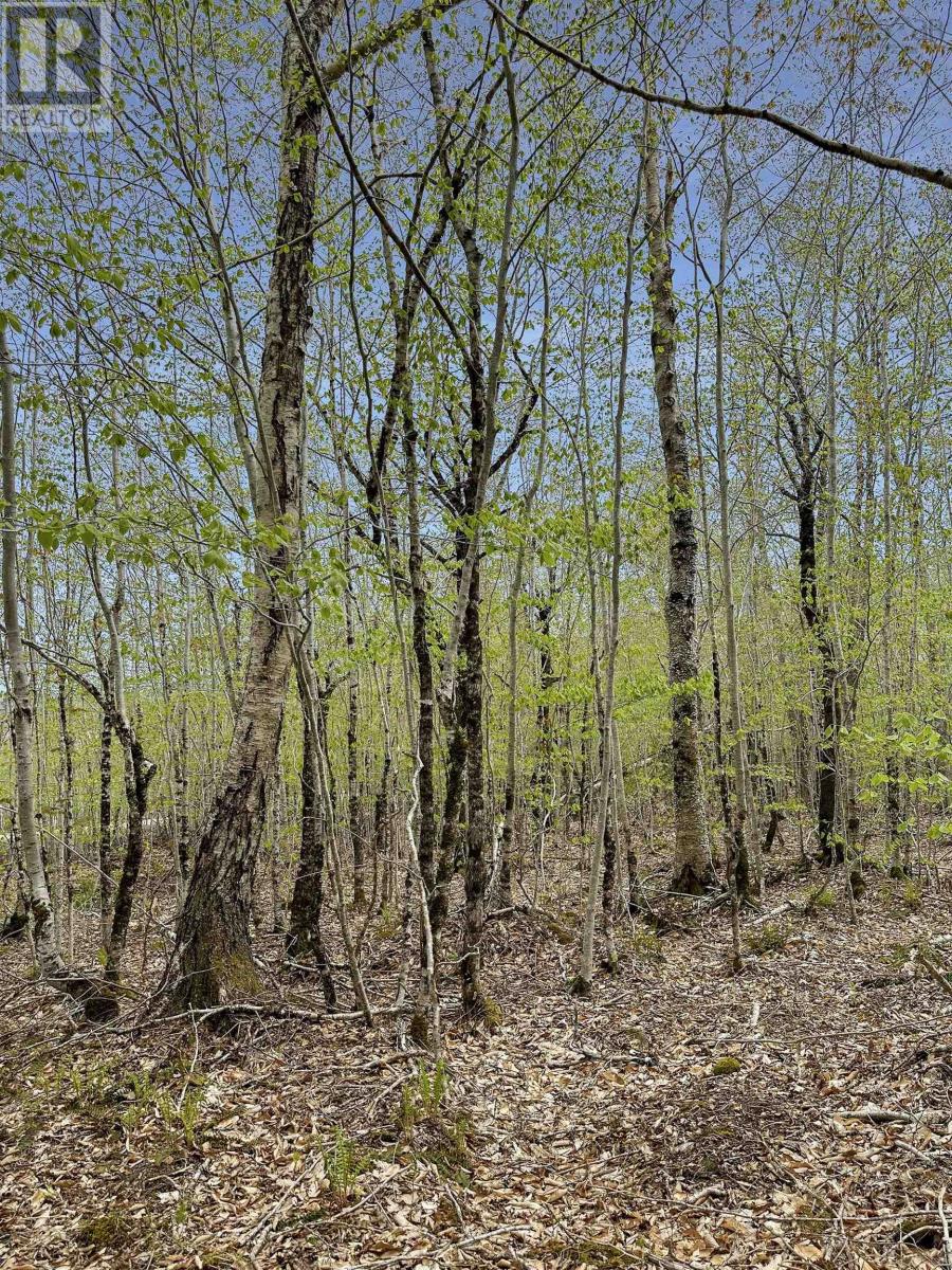 Vacant Land for Sale in C HILLCREST Drive Dalhousie 