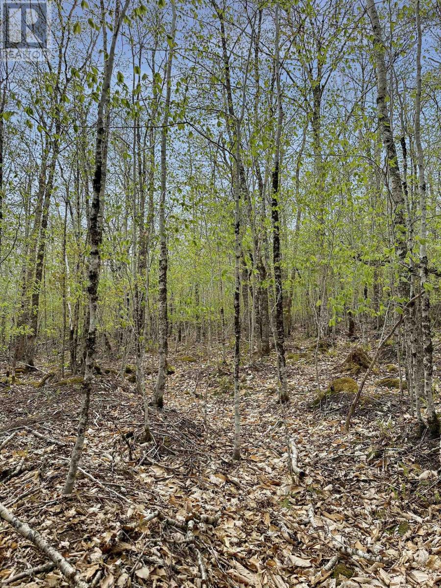 Vacant Land for Sale in C HILLCREST Drive Dalhousie 