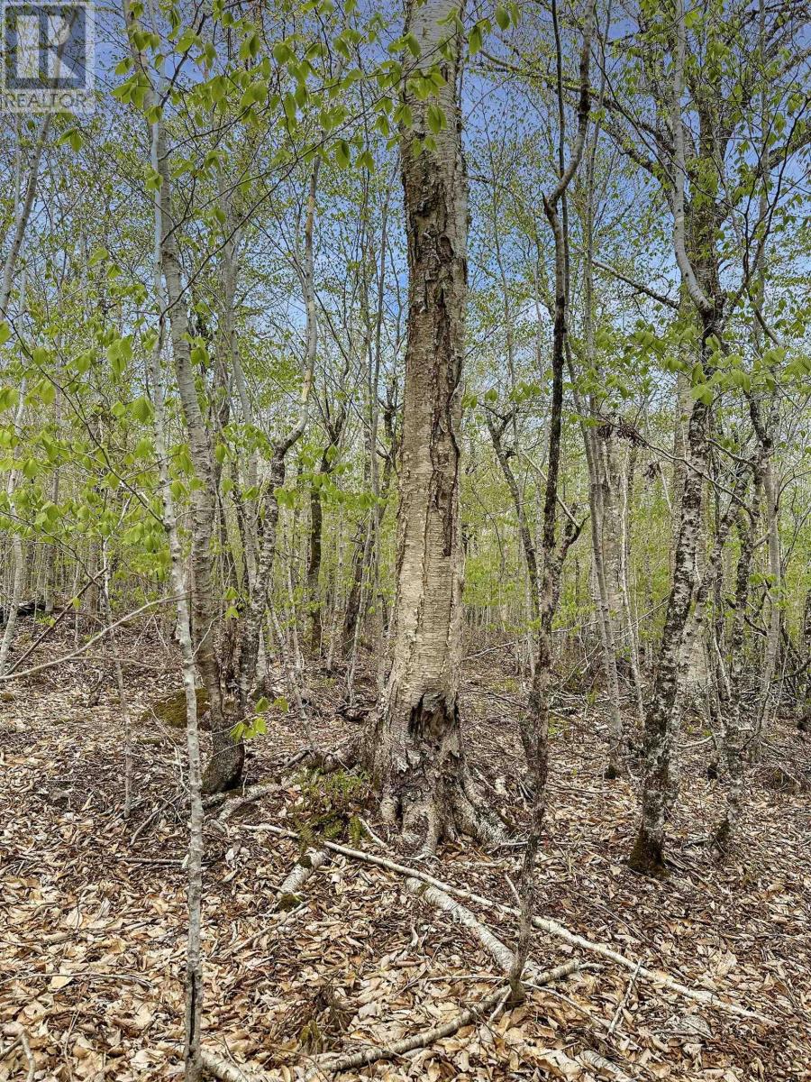 Vacant Land for Sale in C HILLCREST Drive Dalhousie 