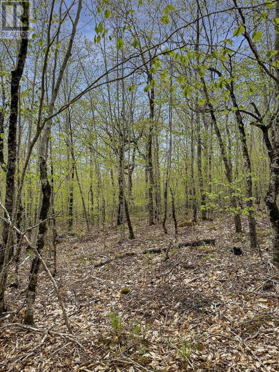 Vacant Land for Sale in C HILLCREST Drive Dalhousie 