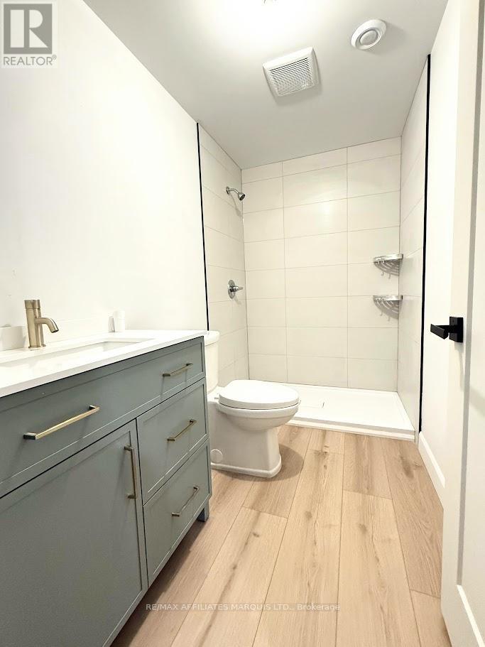 Basement Bathroom