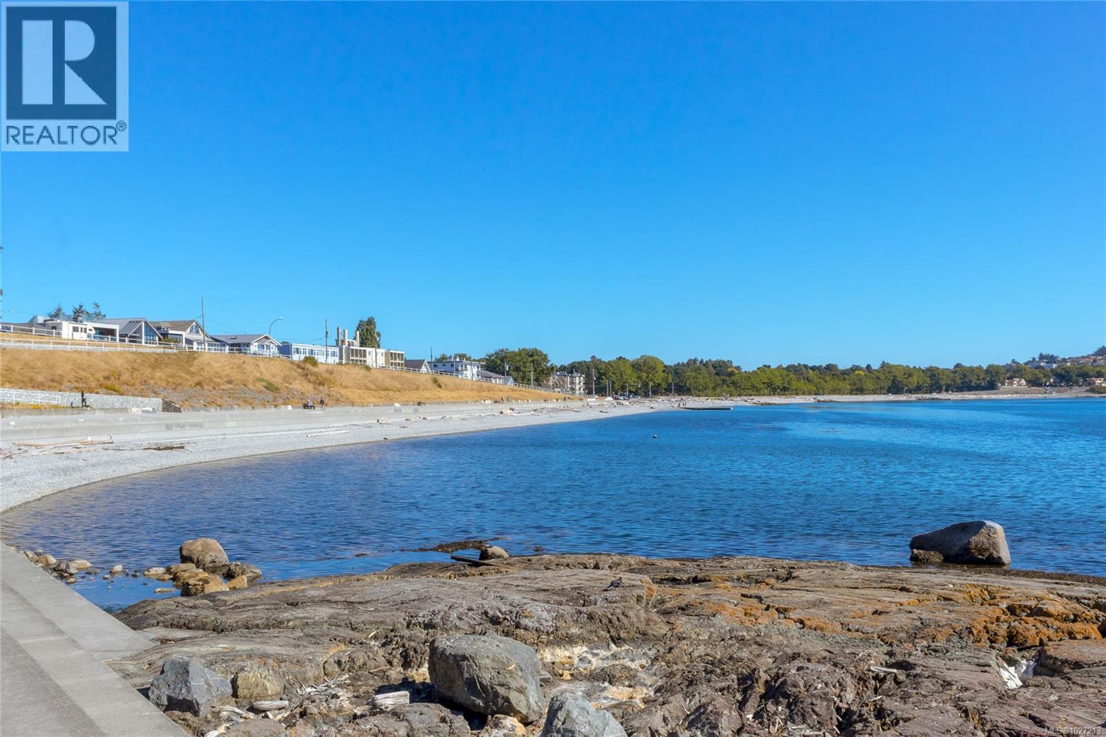 101 1540 Dallas Road, Victoria