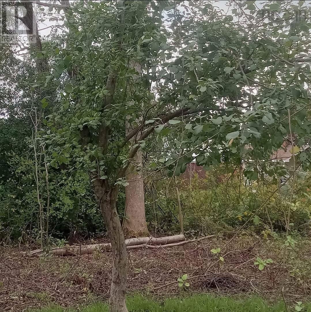 Property 4 of 21 of 5734 Pictou Landing Road