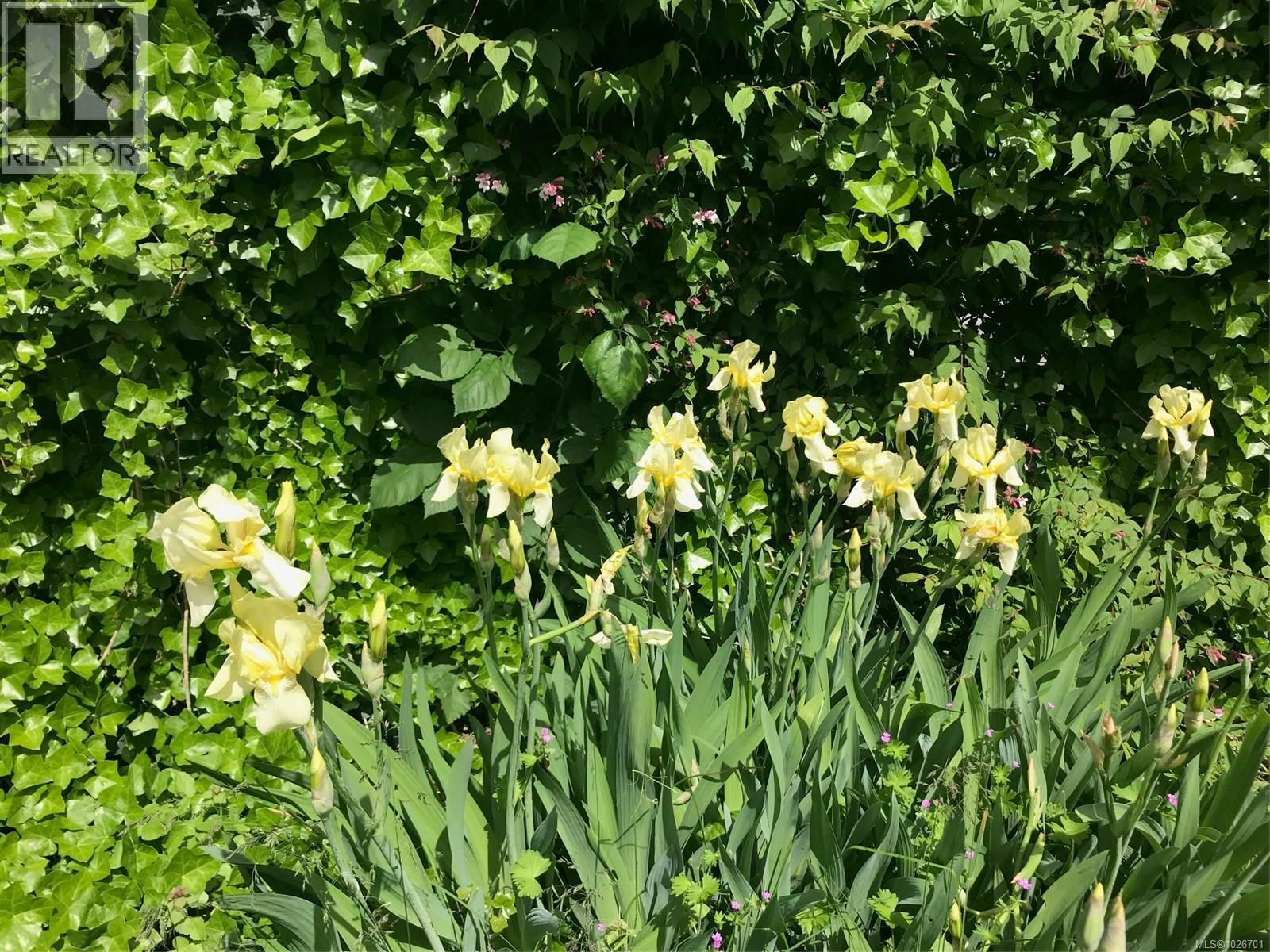 275 Pioneer Cres, Parksville