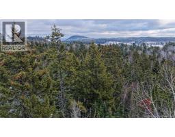 Lot Todds Point Road, Dufferin, NB E3L3R5 Photo 12
