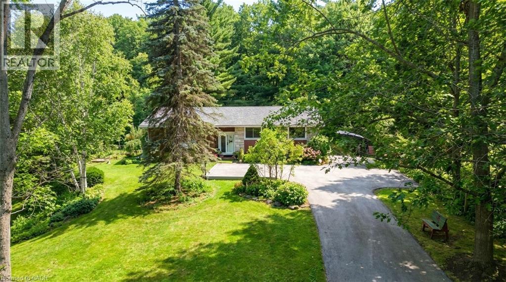 5600 CEDAR SPRINGS Road - 5
