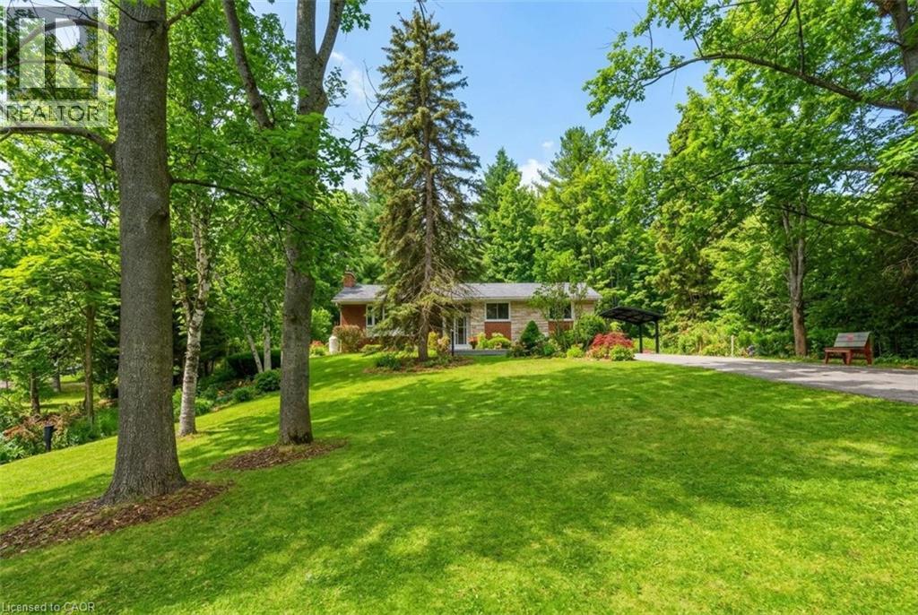 5600 CEDAR SPRINGS Road - 1