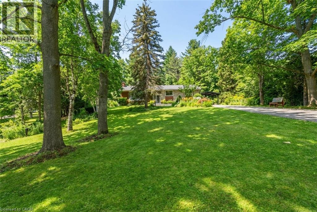 5600 CEDAR SPRINGS Road - 46