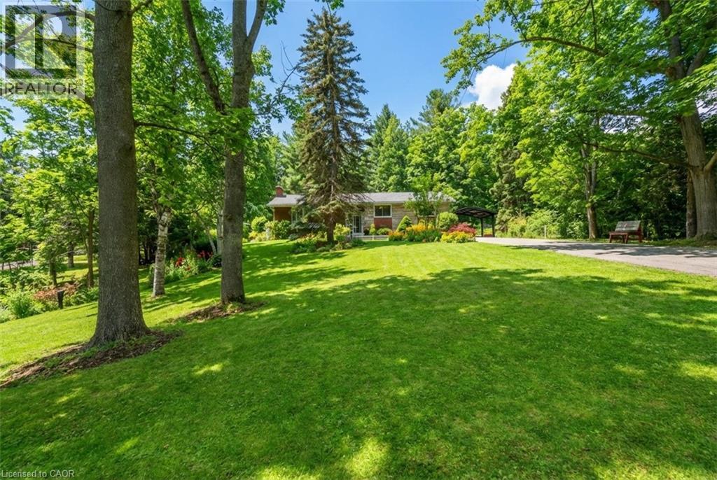 5600 CEDAR SPRINGS Road - 50