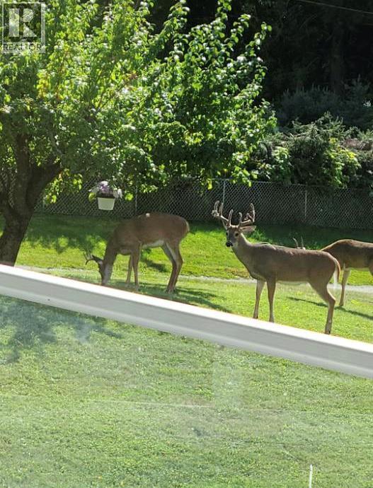 213 Burton School Road, Burton