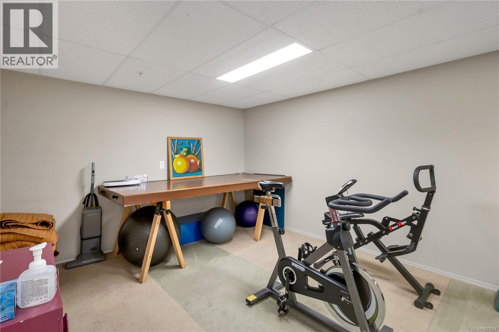 #105 350 ISLAND HWY S - 30