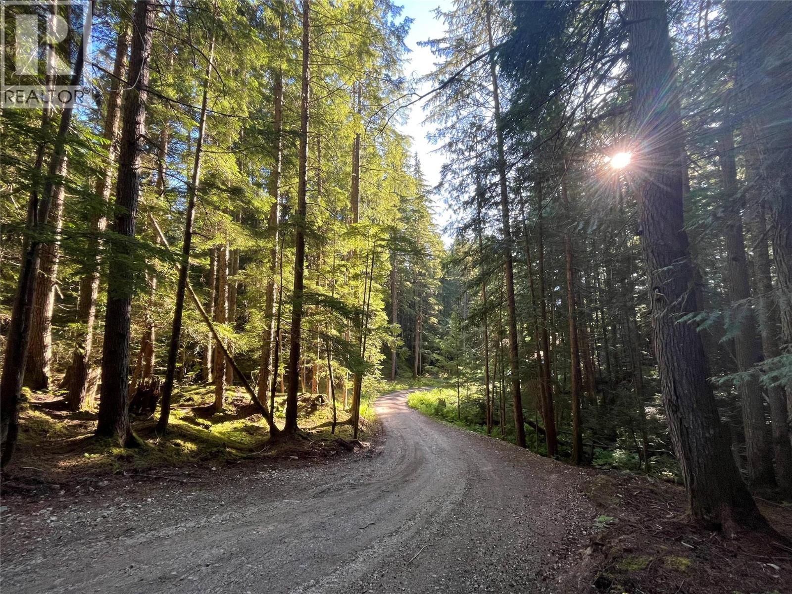 769 Beech Road, Nakusp