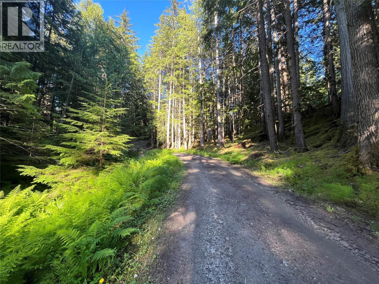 769 Beech Road, Nakusp