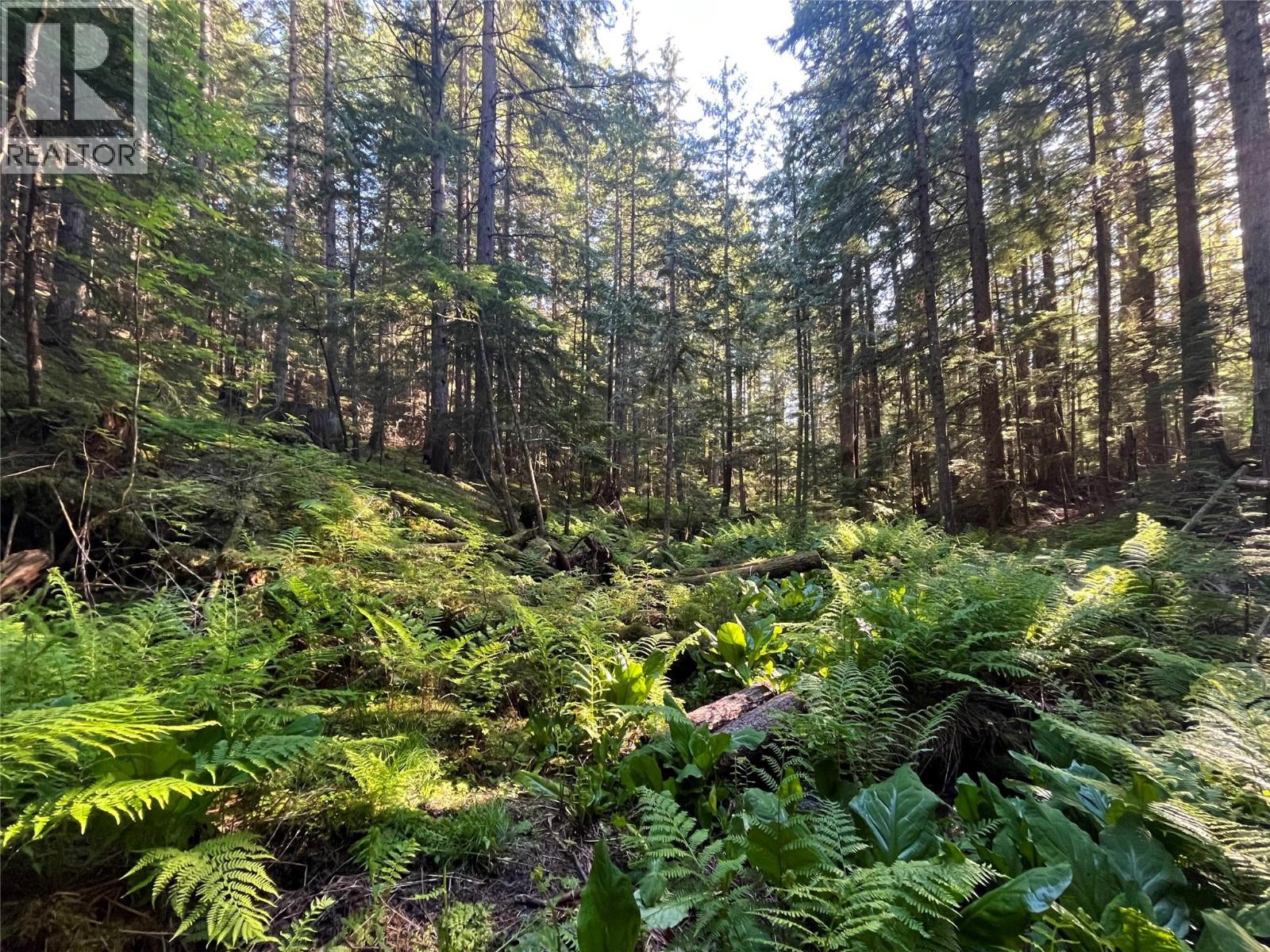 769 Beech Road, Nakusp