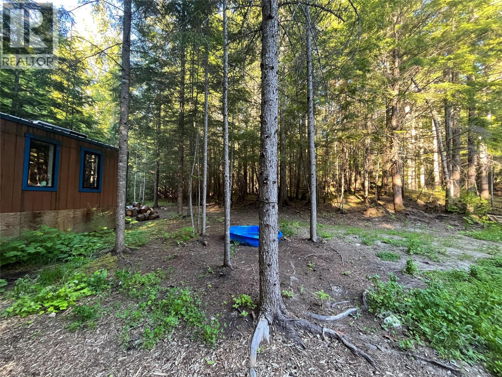 769 Beech Road, Nakusp