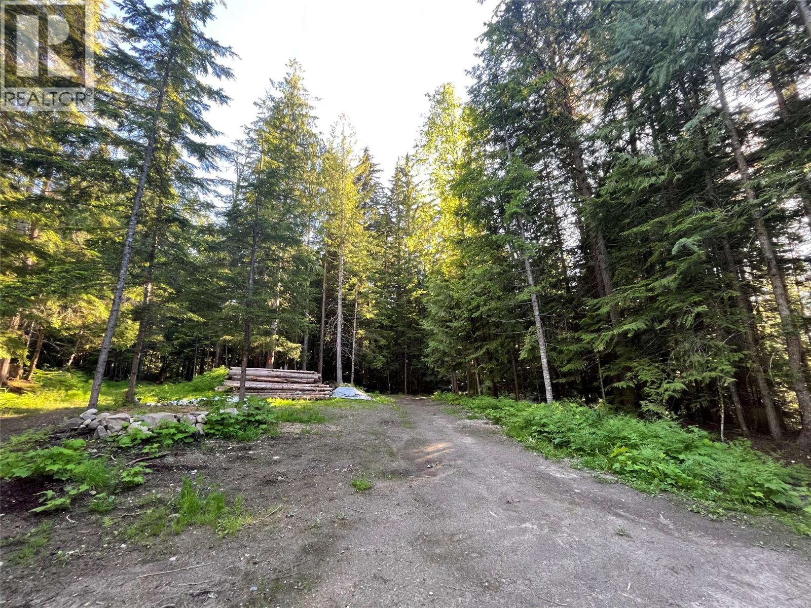 769 Beech Road, Nakusp