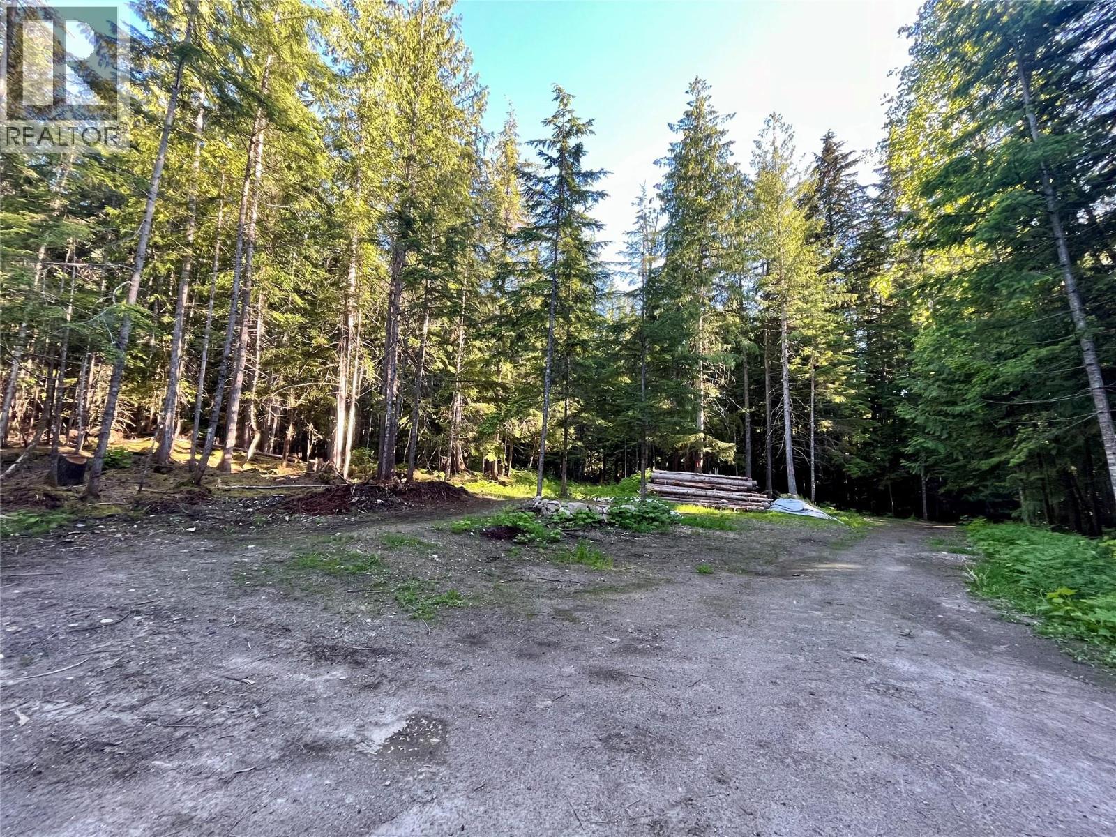 769 Beech Road, Nakusp