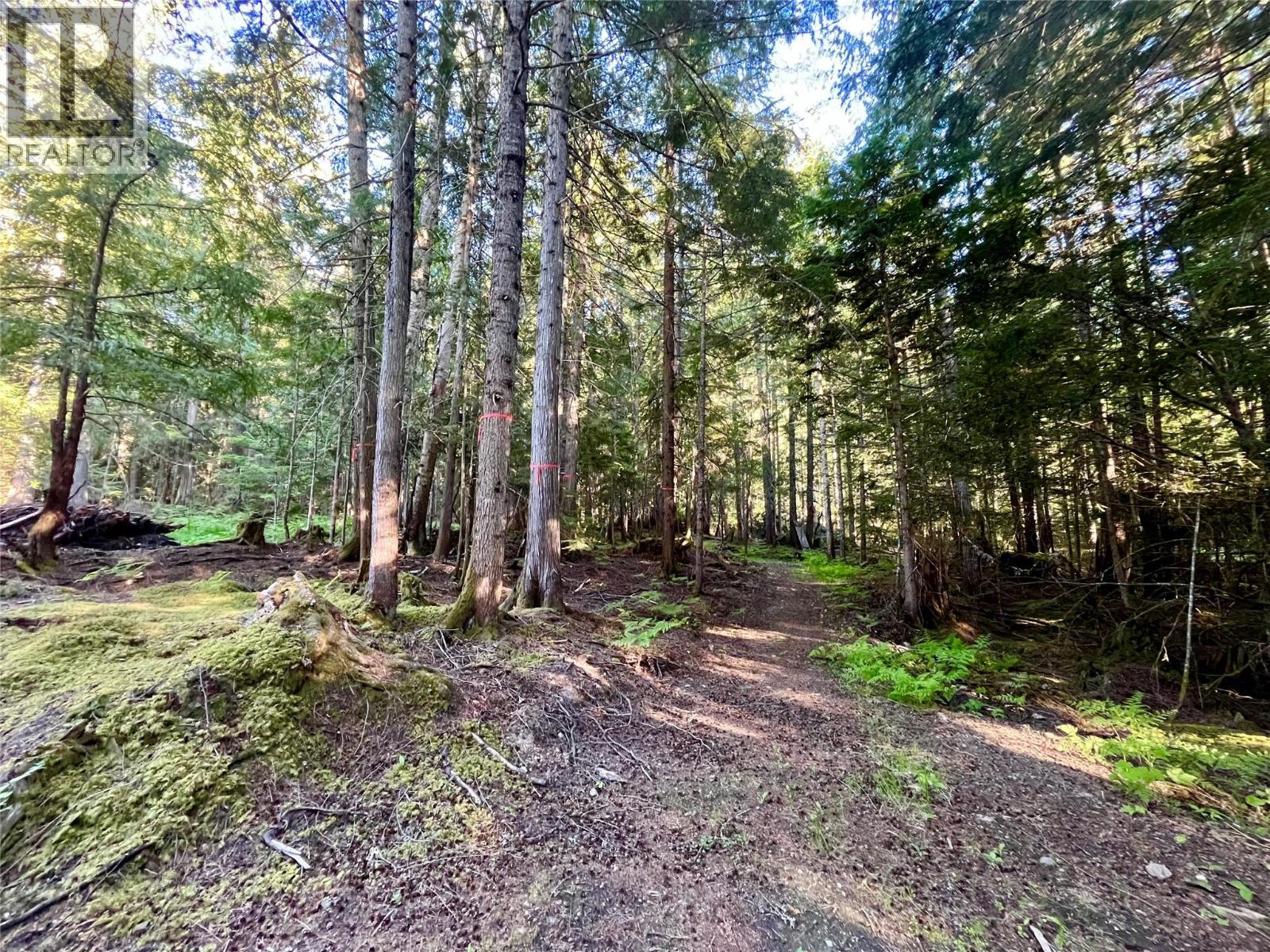 769 Beech Road, Nakusp