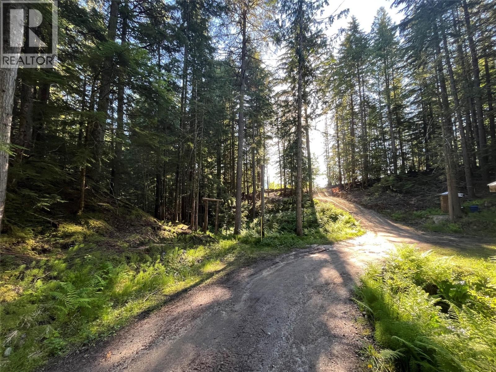 769 Beech Road, Nakusp